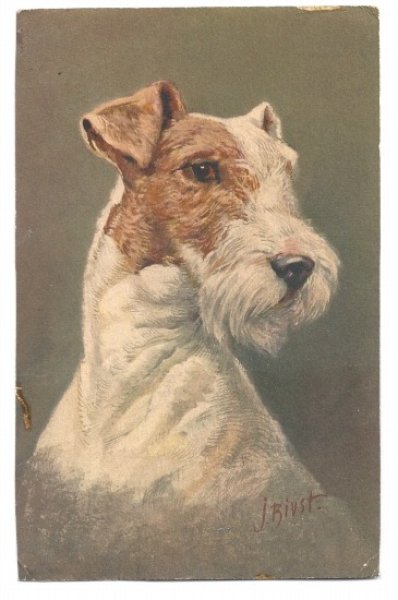 画像1: Postcard　ワイヤーフォックステリア犬　1930年 (1)