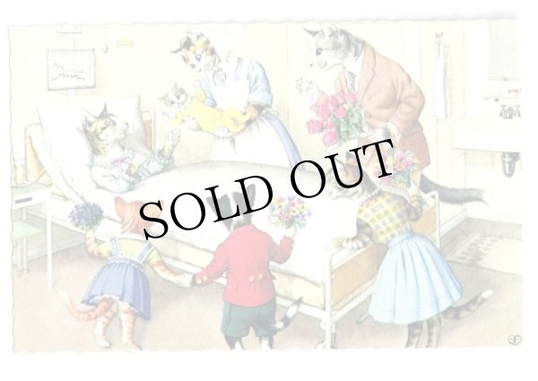 画像1: Postcard　産まれたての赤ちゃん猫　Mainzer cat　 (1)