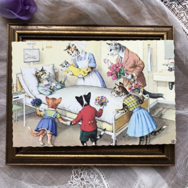 画像2: Postcard 産まれたての赤ちゃん猫 Mainzer cat  (2)