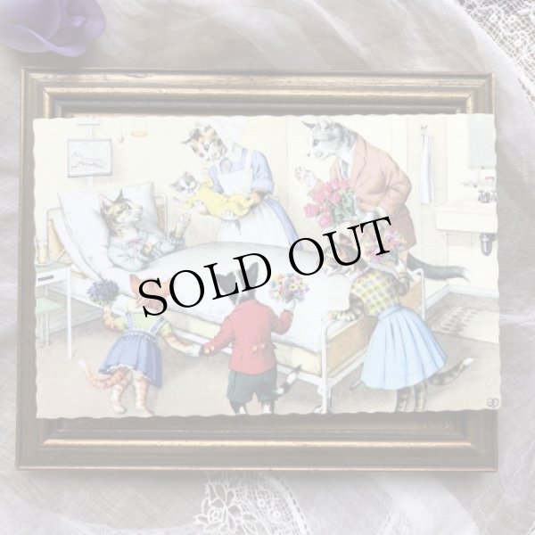 画像2: Postcard　産まれたての赤ちゃん猫　Mainzer cat　 (2)