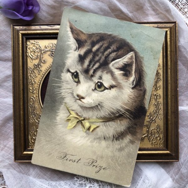 画像2: Postcard キジトラの猫  (2)