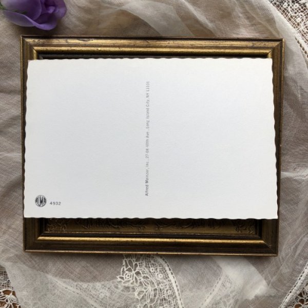 画像3: Postcard 産まれたての赤ちゃん猫 Mainzer cat  (3)