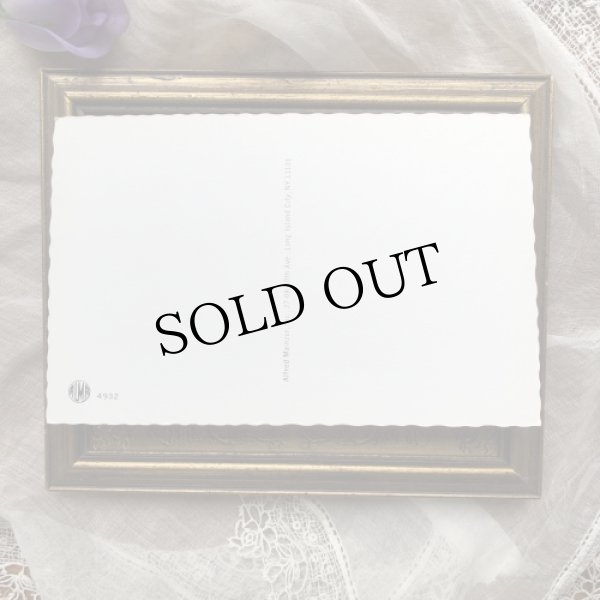 画像3: Postcard　産まれたての赤ちゃん猫　Mainzer cat　 (3)