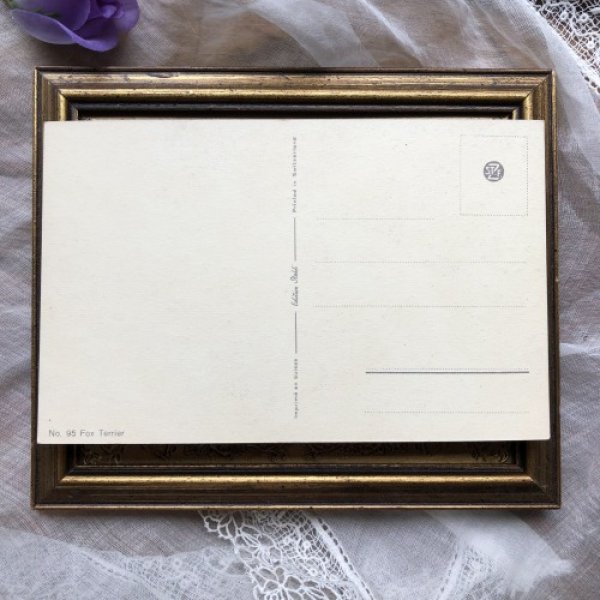 画像3: Postcard ワイヤーフォックステリア犬 未使用 (3)