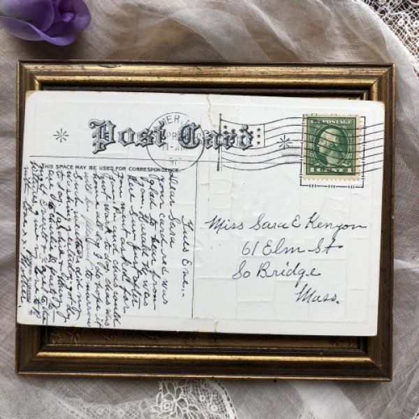 画像4: Postcard　見つめ合う猫たち　三毛猫とキジトラ　Helena Maguire (4)