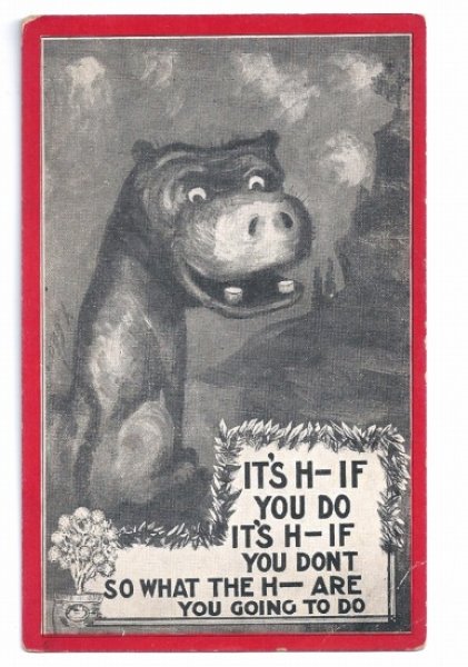 画像1: Postcard　カバのような犬？　1910年頃　未使用 (1)