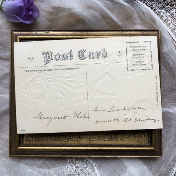 画像4: Postcard 女の子と3匹の猫たち Helena Maguire  (4)