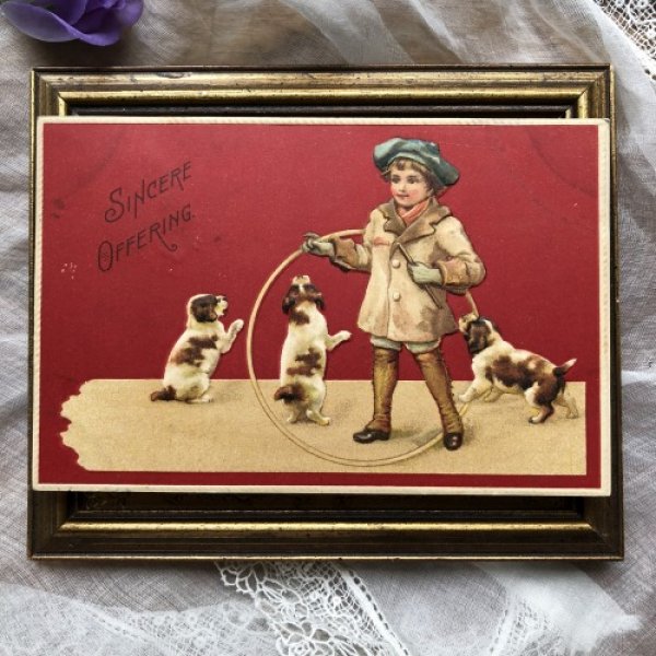 画像2: Postcard フラフープを持つ子どもと3匹の子犬 Helena Maguire (2)