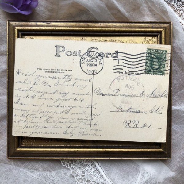 画像3: Postcard 黒い犬 1908年 (3)