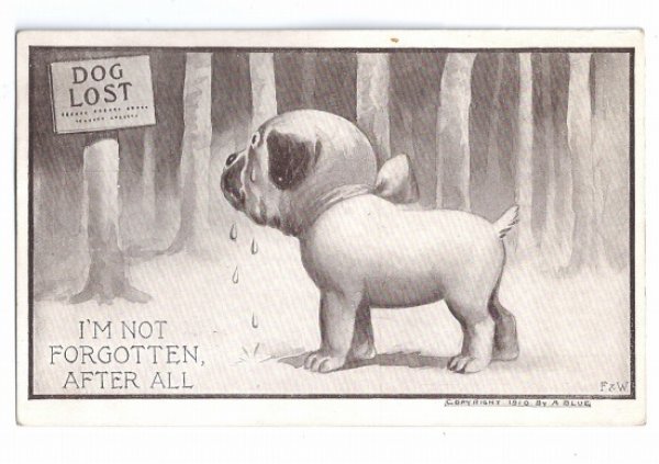 画像1: Postcard　迷い犬　大泣きしている犬 (1)