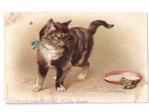 画像1: Postcard　三毛猫とカエル　Dorothy Travers Pope？　1913年 (1)