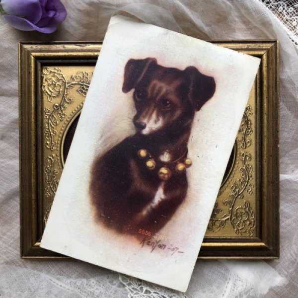 画像2: Postcard 黒い犬 1908年 (2)