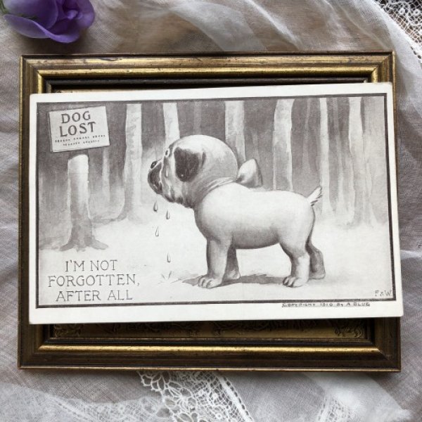 画像2: Postcard 迷い犬 大泣きしている犬 (2)