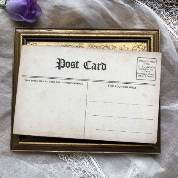 画像3: Postcard カバのような犬? 1910年頃 未使用 (3)