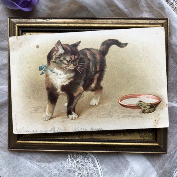 画像2: Postcard 三毛猫とカエル Dorothy Travers Pope? 1913年 (2)