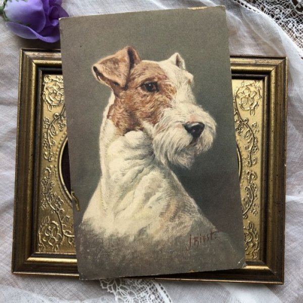 画像2: Postcard ワイヤーフォックステリア犬 1930年 (2)