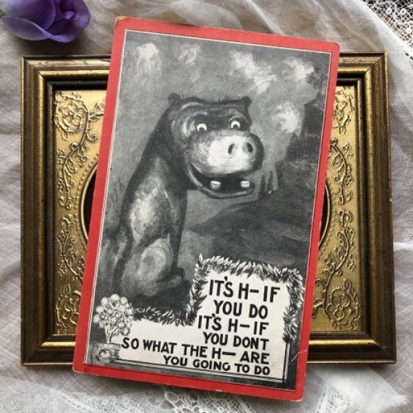 画像2: Postcard カバのような犬? 1910年頃 未使用 (2)