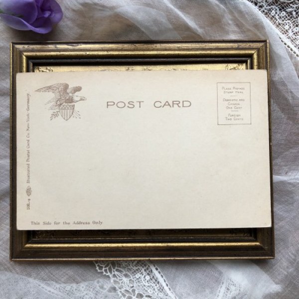 画像3: Postcard フレンチプードル スタンダード 未使用 (3)