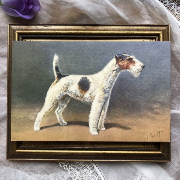 画像2: Postcard ワイヤーフォックステリア犬 未使用 (2)