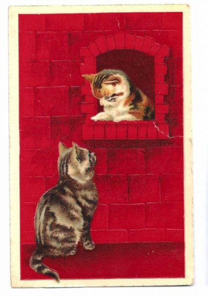 画像1: Postcard　見つめ合う猫たち　三毛猫とキジトラ　Helena Maguire (1)