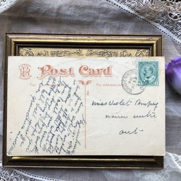 画像3: Postcard  Easter イースターエッグから産まれた垂れ耳のウサギさん 卵 (3)