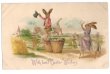 画像1: Postcard  Easter　馬に乗るウサギさん　1908年 (1)