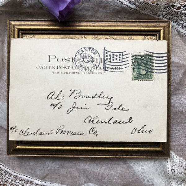 画像3: Postcard 豚の家族 背中に乗る子豚 1905年 (3)