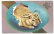 画像1: Postcard  Easter　イースターエッグから産まれた垂れ耳のウサギさん　卵 (1)