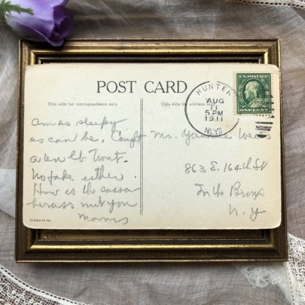 画像3: Postcard  ニワトリになってしまった女性? 1911年 (3)