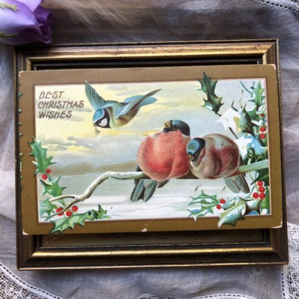 画像2: ▼SALE 500▼ Postcard クリスマス 3羽の小鳥 ロビン フィンチ アオガラ (2)
