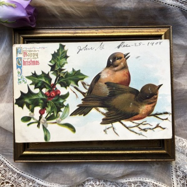 画像2: Postcard  クリスマス 2羽の小鳥 ヒイラギ ホーリー ロビン コマドリ 1908年  (2)