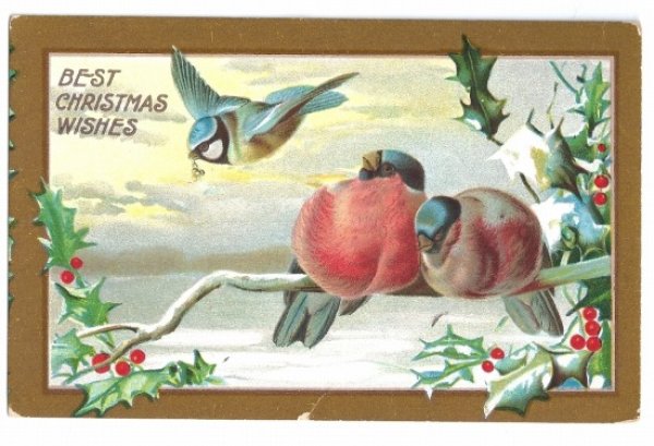 画像1: ▼SALE 500▼　Postcard　クリスマス　3羽の小鳥　ロビン　フィンチ　アオガラ (1)