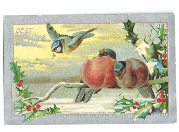 画像1: Postcard 　クリスマス　小鳥　ロビン　コマドリ　フィンチ　アオガラ 　 (1)