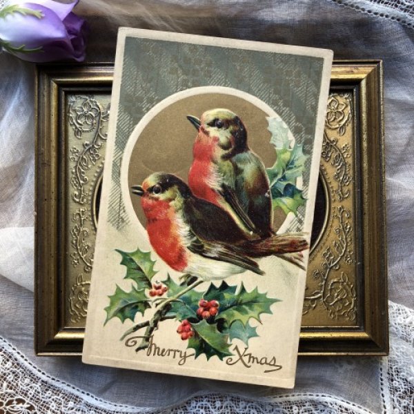 画像2: Postcard  クリスマス 2羽の小鳥 ロビン コマドリ   (2)