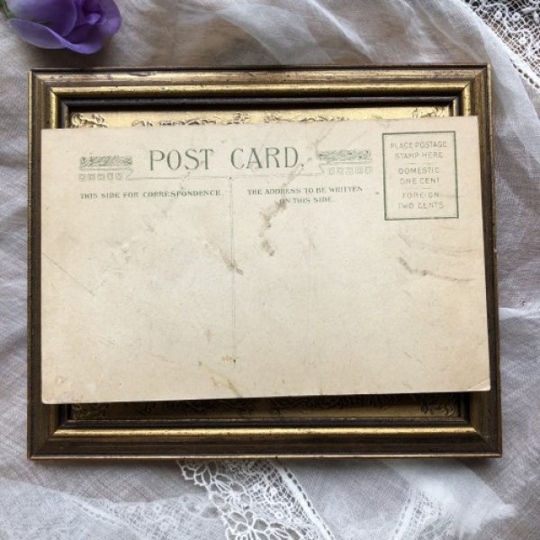 画像3: Postcard 女性の手にとまる伝書鳩 薔薇のお花 (3)