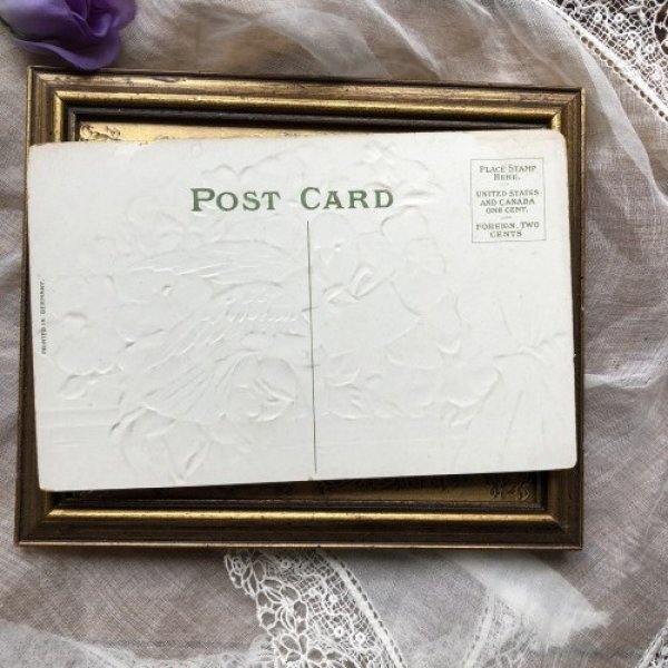 画像3: ▼SALE 500▼ Postcard 白鳩とお花 (3)