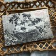 画像2: Postcard　鳥の巣と小さな道化師さん　フランス1904年 (2)