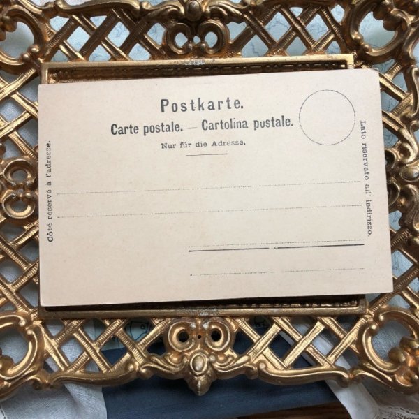 画像3: Postcard セントバーナード犬 スムースタイプ 未使用 (3)