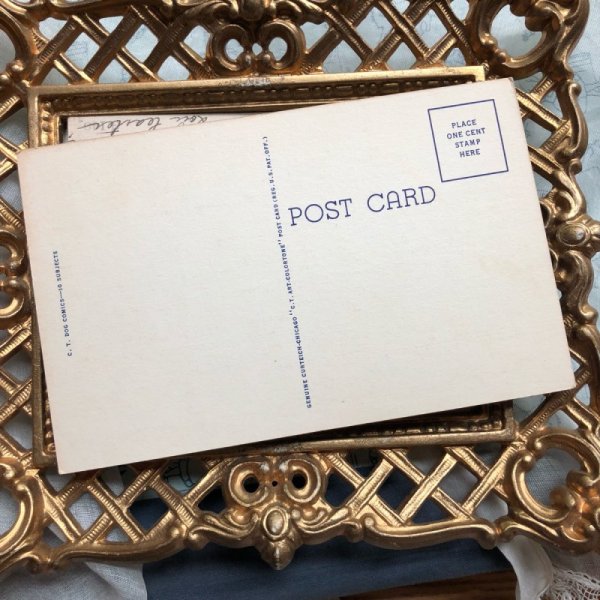 画像3: ▼SALE 500▼ Postcard 手紙を書き終えた?犬 未使用 (3)