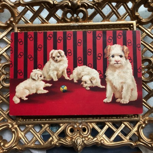 画像2: Postcard　ボールで遊ぶ子犬　Helena Maguire (2)