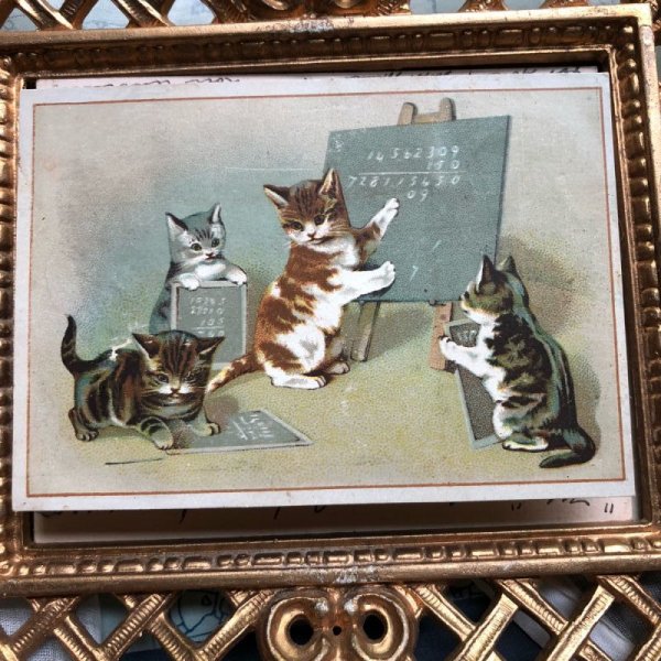 画像2: Vintage Greeting card 猫の学校 算数の時間 Helena Maguire (2)