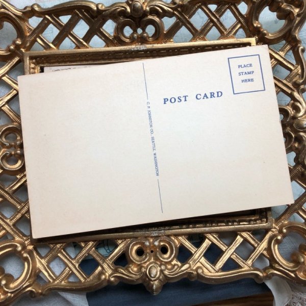 画像3: Postcard アラスカン・ハスキー犬 (3)