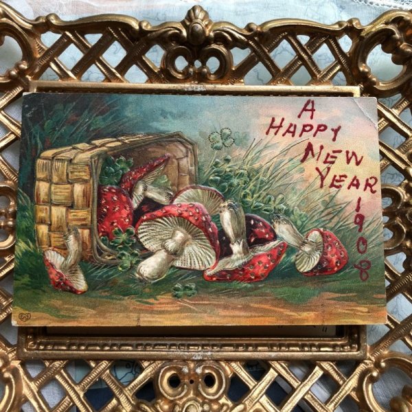 画像2: Postcard New year 新年祝い  籠のバスケットとキノコ 1908年 (2)