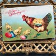 画像2: Postcard 　イースター　鶏とヒヨコと卵 (2)