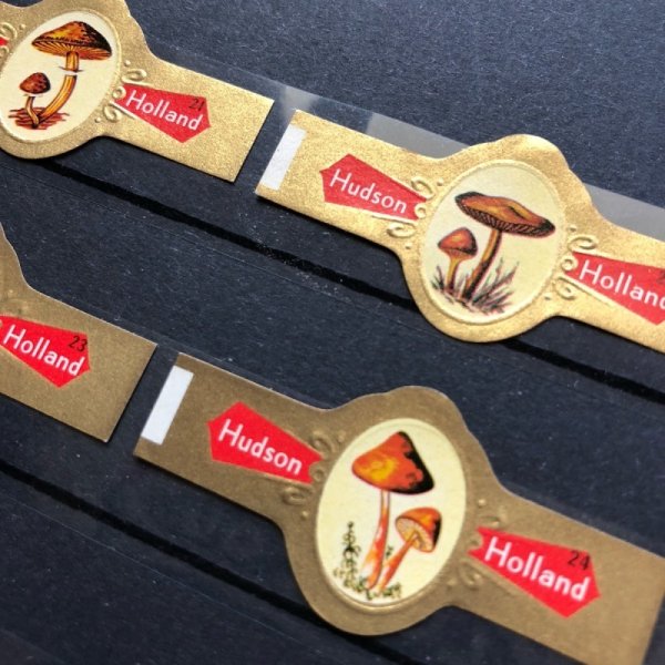 画像2: Vintage label シガーラベル キノコ 4枚セット Hudson Holland 21 - 24 (2)