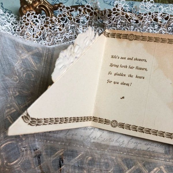 画像2: ▼SALE 500▼ Postcard スミレのお花 (2)