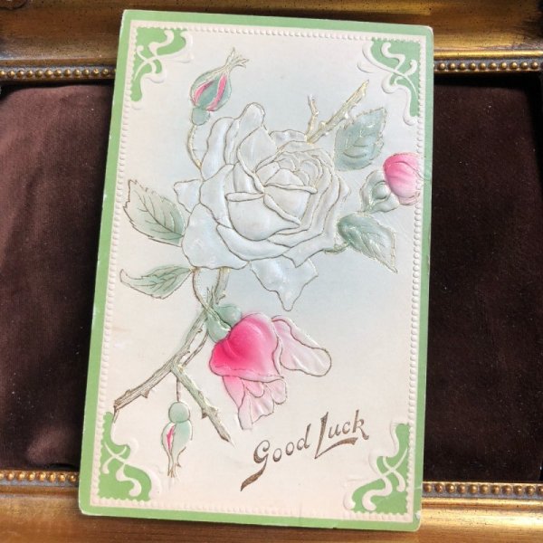 画像1: ▲SALE 500▲  Postcard　薔薇のお花　 (1)