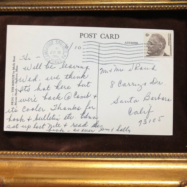 画像3: Postcard  森の動物さん　救助されるネズミさん　Molly Brett (3)