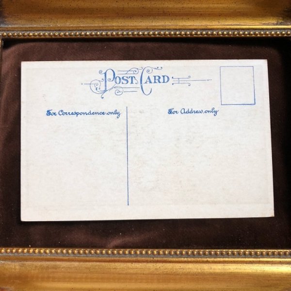 画像2: ▲SALE 500▲  Postcard 猫にご飯を取られた犬? 未使用 (2)