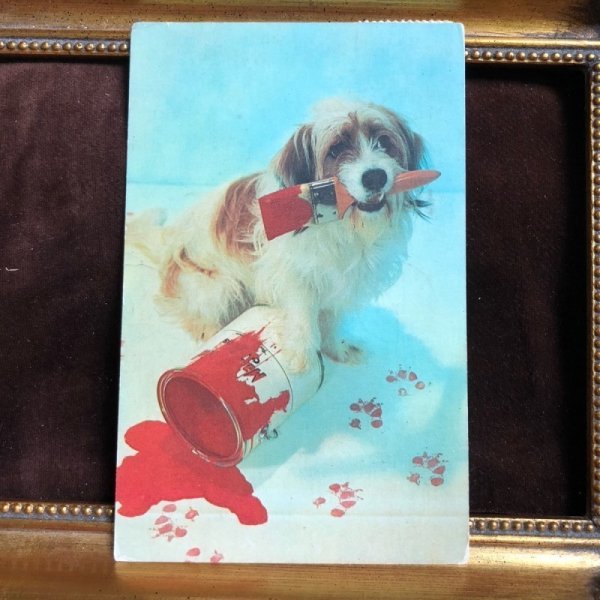 画像1: ▲SALE 500▲  Postcard　赤いペンキと長毛の犬 (1)